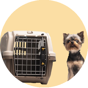 gates & containement category