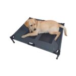 mpets raised pet bed