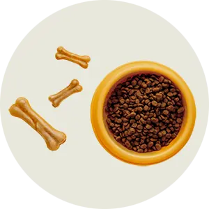 Bowls and Feeders