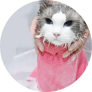 Cat Bath
