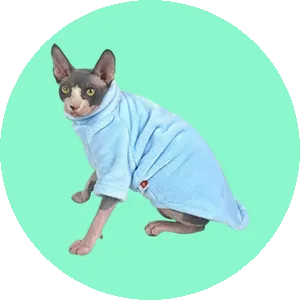 Cat Clothings