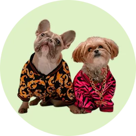 Pet Clothing