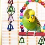 10-Pack Colorful Bird Cage Toys – Chewable Swing, Bell, and Wooden Bead Toys for Parrots, Budgies & Cockatiels