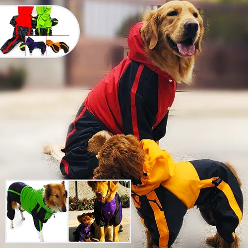 Waterproof Large Dog Raincoat - Featured