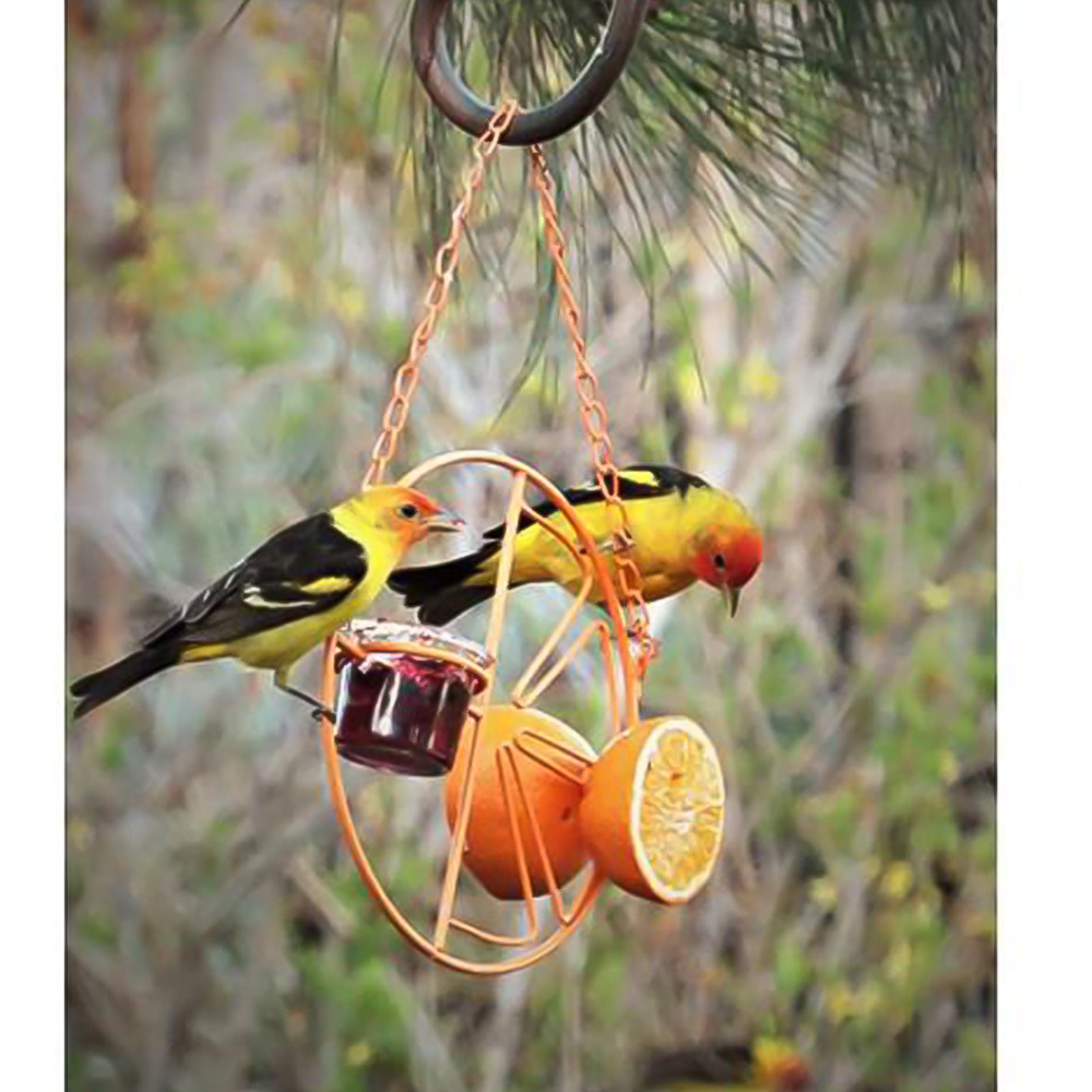 Circular Outdoor Hummingbird Feeder – Orange Nectar & Water Feeding Station