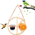 Circular Outdoor Hummingbird Feeder – Orange Nectar & Water Feeding Station