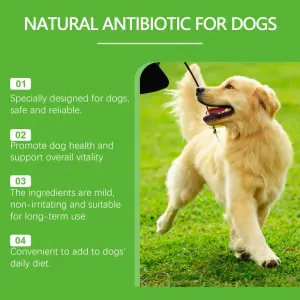 Natural Dog Health Supplement – Immune Support, Digestion & Skin Care Drops (60ml)