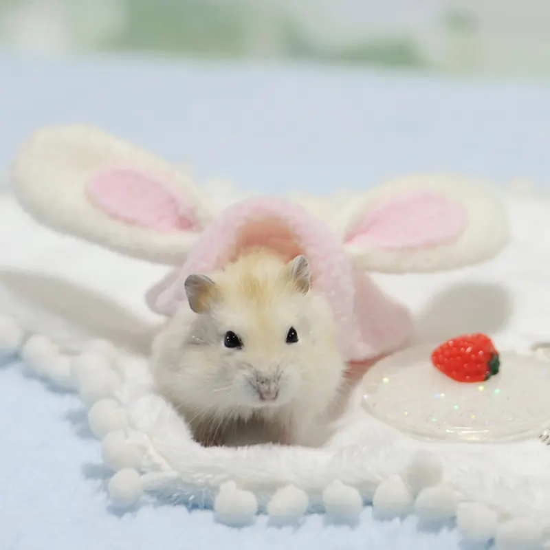 Cute Hamster Costume Outfit – Bunny, Bear & Animal Dress-Up Clothes for Small Pets