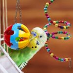 10-Pack Colorful Bird Cage Toys – Chewable Swing, Bell, and Wooden Bead Toys for Parrots, Budgies & Cockatiels