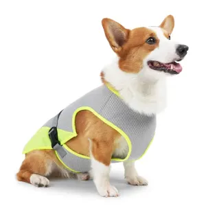 Cooling Dog Vest – Breathable Heat Relief Jacket for Summer Protection