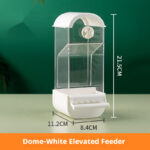 Automatic Parrot Feeder with Perch – Large Capacity Acrylic Bird Food Dispenser