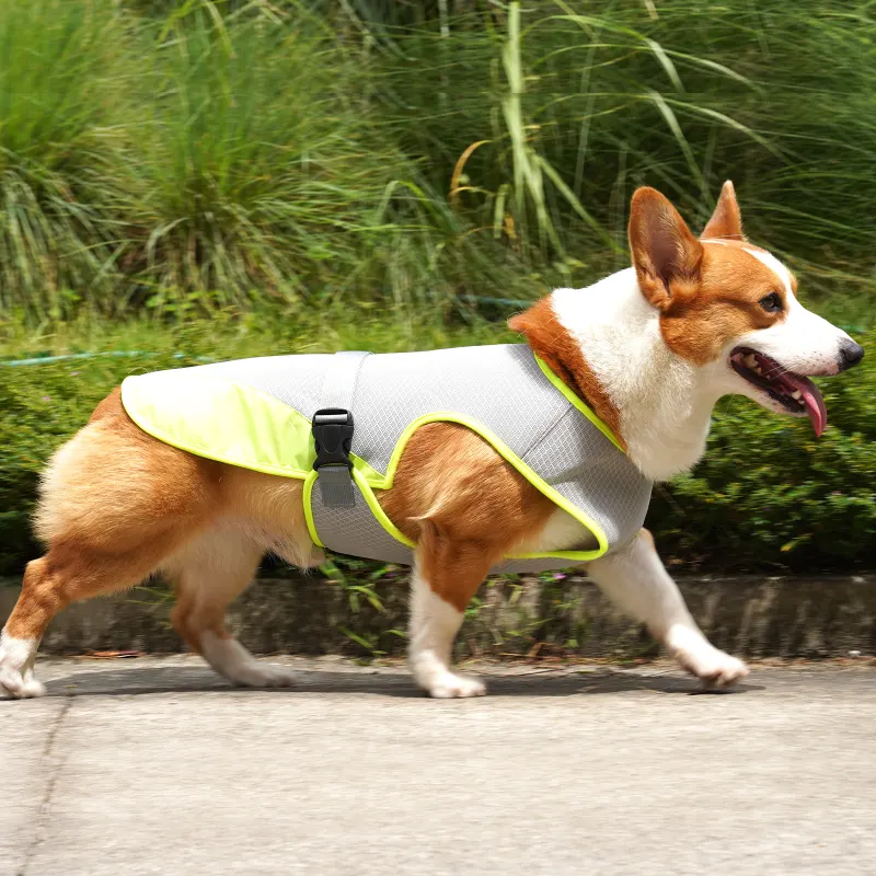 Cooling Dog Vest – Breathable Heat Relief Jacket for Summer Protection