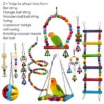 10-Pack Colorful Bird Cage Toys – Chewable Swing, Bell, and Wooden Bead Toys for Parrots, Budgies & Cockatiels