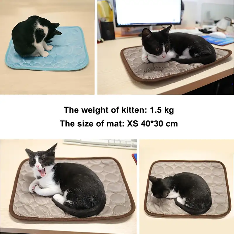 Breathable and washable blanket/bed/mat