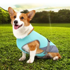 Cooling Dog Vest – Breathable Heat Relief Jacket for Summer Protection