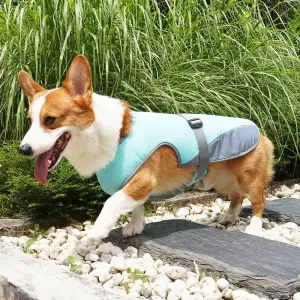 cooling dog vest