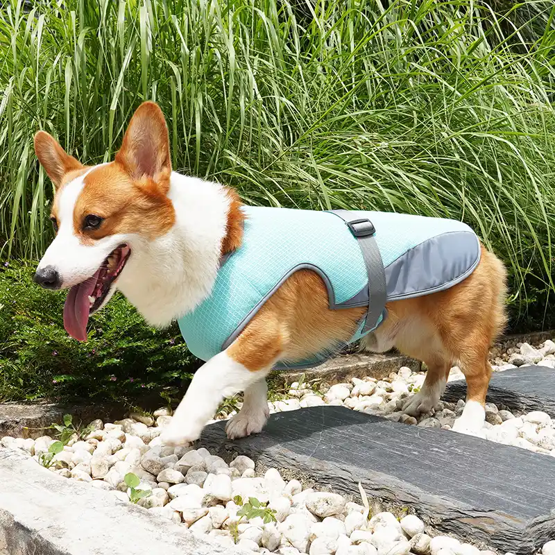 cooling dog vest