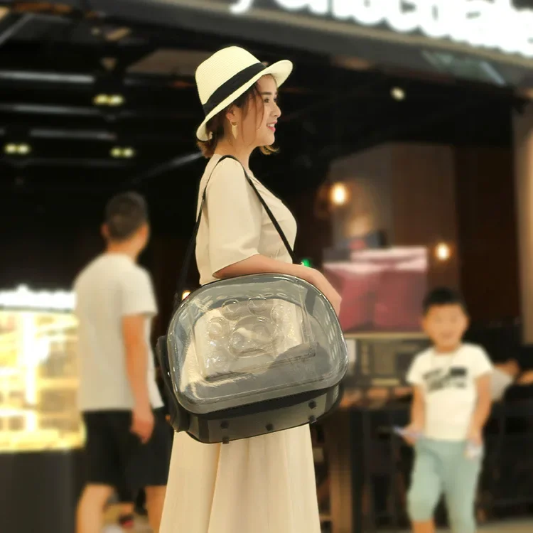 Transparent Cat Carrier Bag