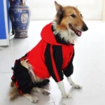 Waterproof Large Dog Raincoat - Red