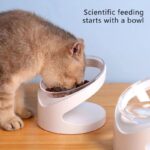 ErgoTilt™ Anti-Choke Slanted Pet Bowl (15° Elevated Design)