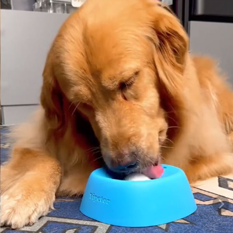 Yipetor Anti-Choke Slow Feeder Dog Bowl & Lick Mat – 3/4 Cup Non-Slip Treat Bowl