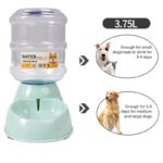 Large Capacity 3.8L Automatic Pet Feeder & Water Dispenser Bowl