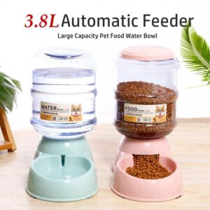 Large Capacity 3.8L Automatic Pet Feeder & Water Dispenser Bowl