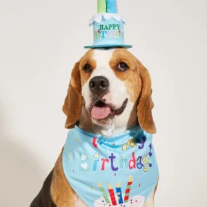 Dog Happy Birthday Decoration Dog Costume Hats Bowknot Bandana Neckerchief Bibs Banners Party Cat Dog Pets Accessories Perros