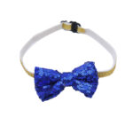 Pet Birthday Party Set – Cute Hat & Triangle Bandana Celebration Outfit