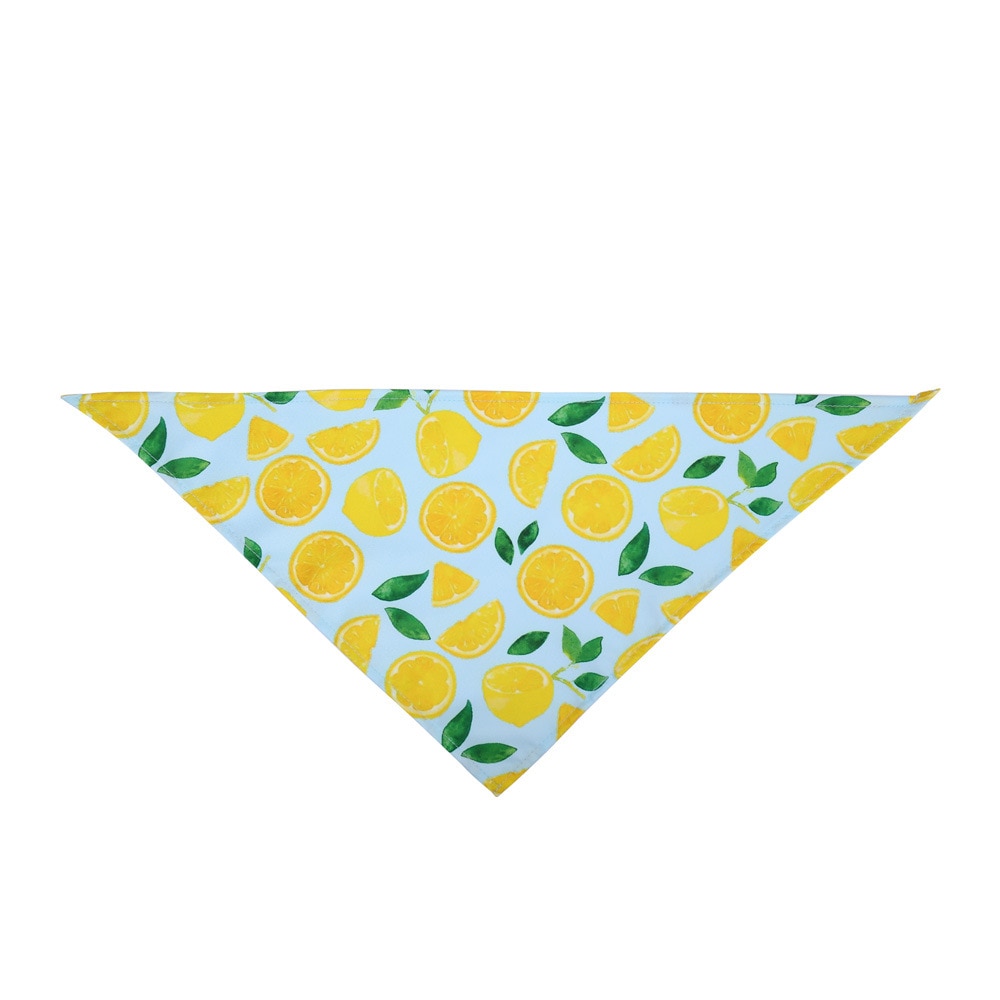 Fruit Print Pet Bandana – Adjustable Cotton Dog & Cat Summer Scarf