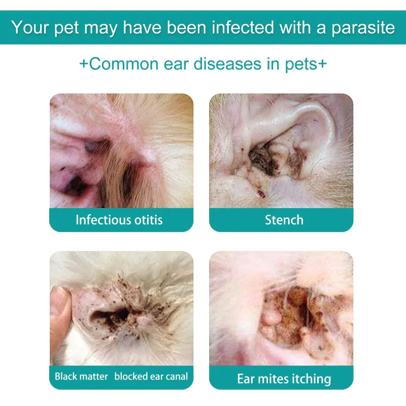 Yegbong Pet Ear Mite Treatment Oil – Soothing Ear Cleaner for Dogs & Cats (Odor Control & Anti-Itch Relief)