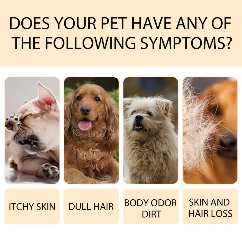Yegnong-Gentle Hydrating Pet Shampoo for Dogs & Cats – Detangling, Odor Control & Shine Boost
