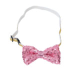 Pet Birthday Party Set – Cute Hat & Triangle Bandana Celebration Outfit