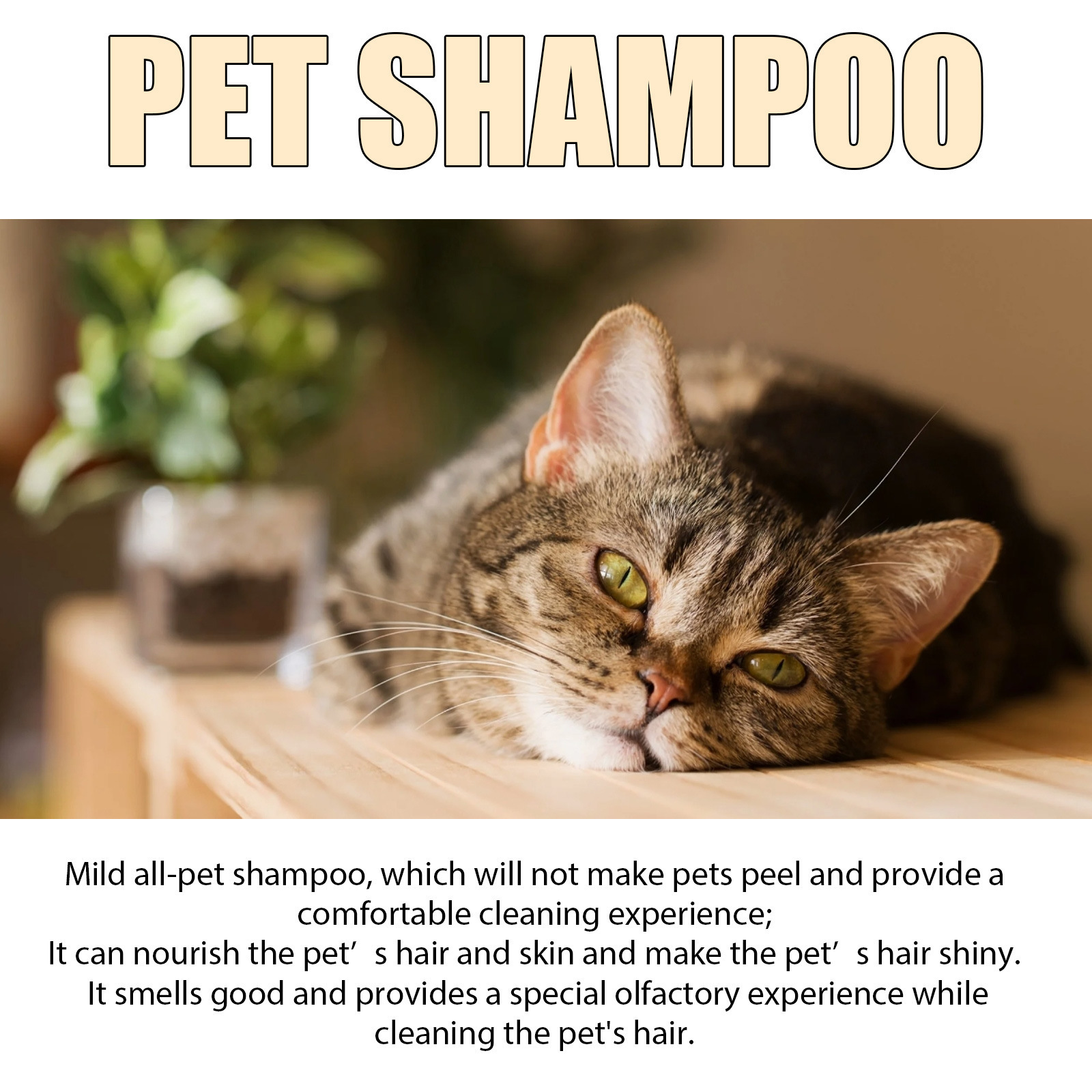 Yegnong-Gentle Hydrating Pet Shampoo for Dogs & Cats – Detangling, Odor Control & Shine Boost