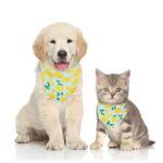 Fruit Print Pet Bandana – Adjustable Cotton Dog & Cat Summer Scarf