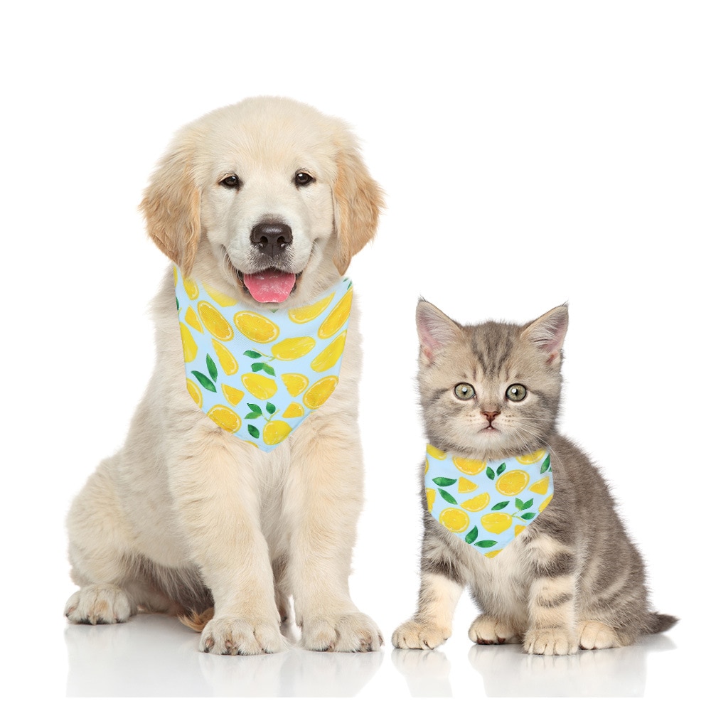 Fruit Print Pet Bandana – Adjustable Cotton Dog & Cat Summer Scarf