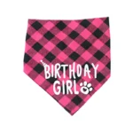 Pet Birthday Party Set – Cute Hat & Triangle Bandana Celebration Outfit