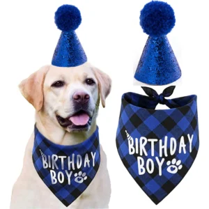 pet-birthday-party-set-hat-bandana