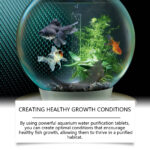 Yegbong Aquarium Water Purification Tablets – Clear Water, Algae Control & Odor Removal (35 Tablets)