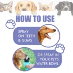 yegbong-Pet Dental Spray for Dogs & Cats – No-Brushing Plaque & Tartar Remover with Fresh Breath Formula