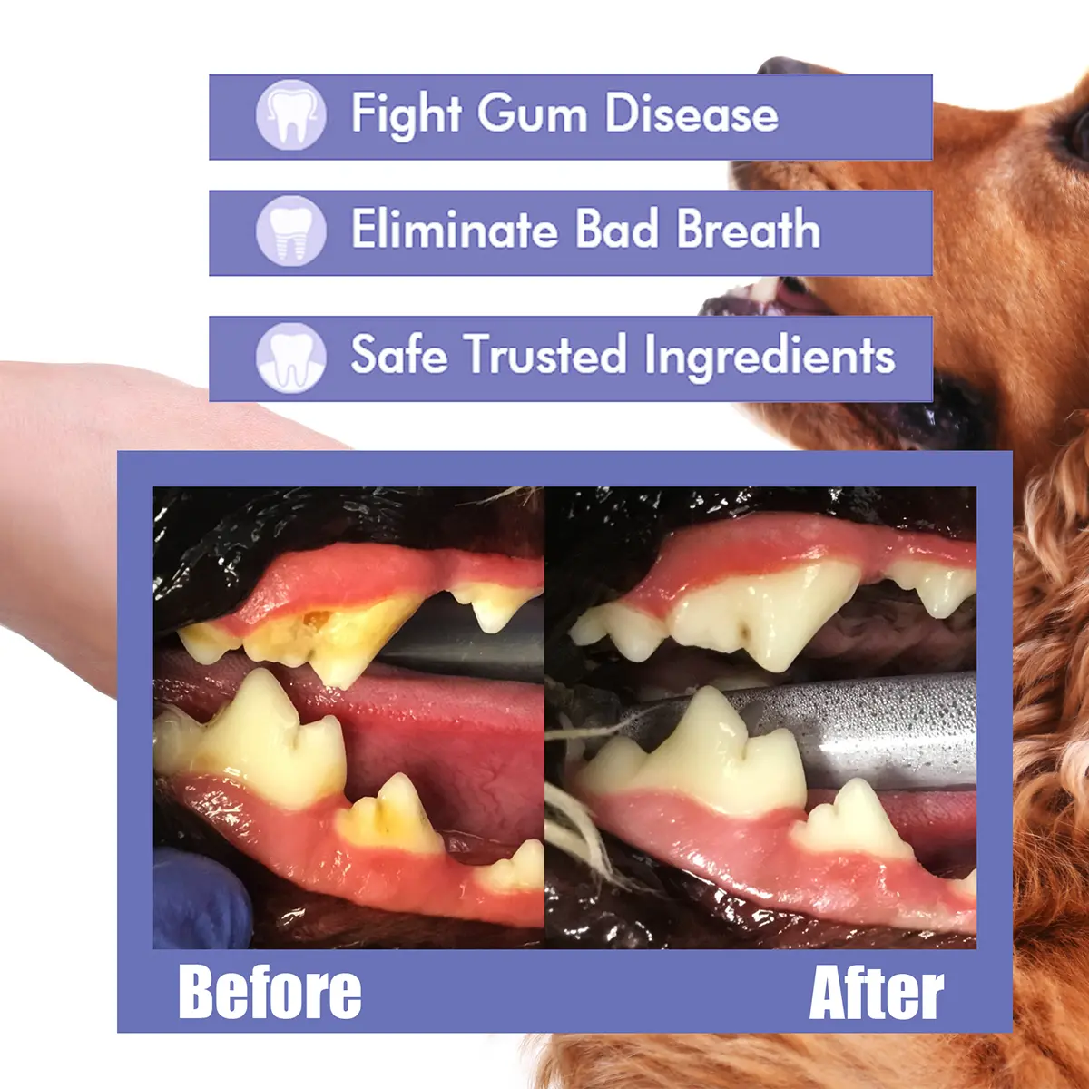 yegbong-Pet Dental Spray for Dogs & Cats – No-Brushing Plaque & Tartar Remover with Fresh Breath Formula