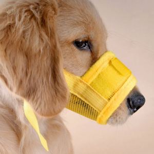 adjustable-mask-for-pets-without-biting
