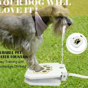 household-pet-intelligent-automatic-water-dispenser