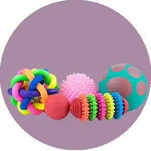 Pet Toys
