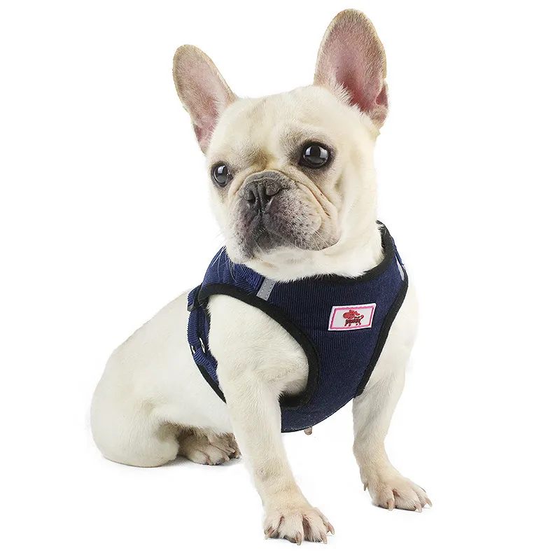 duomm pet chest strap - sample use
