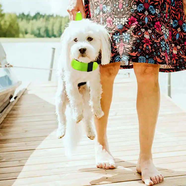 Inflatable Dog Life Jacket | Adjustable Pet Swimming Vest for Pool & Water Safety
