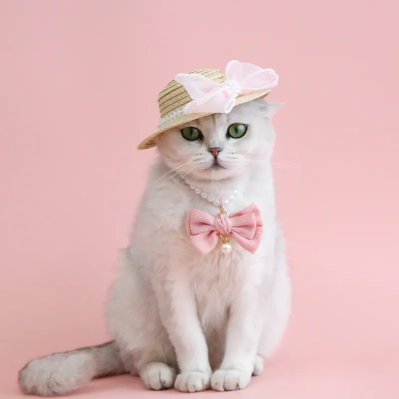 Pet Cat Lady Straw Hat Pearl Bow Woven - Image 6