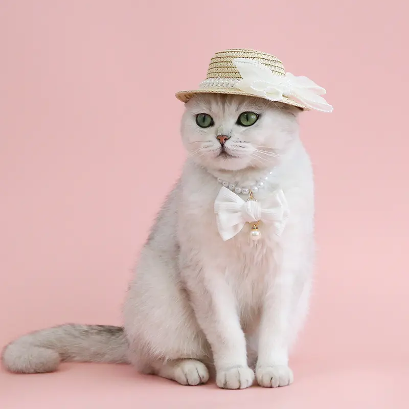 Pet Cat Lady Straw Hat Pearl Bow Woven - Image 4