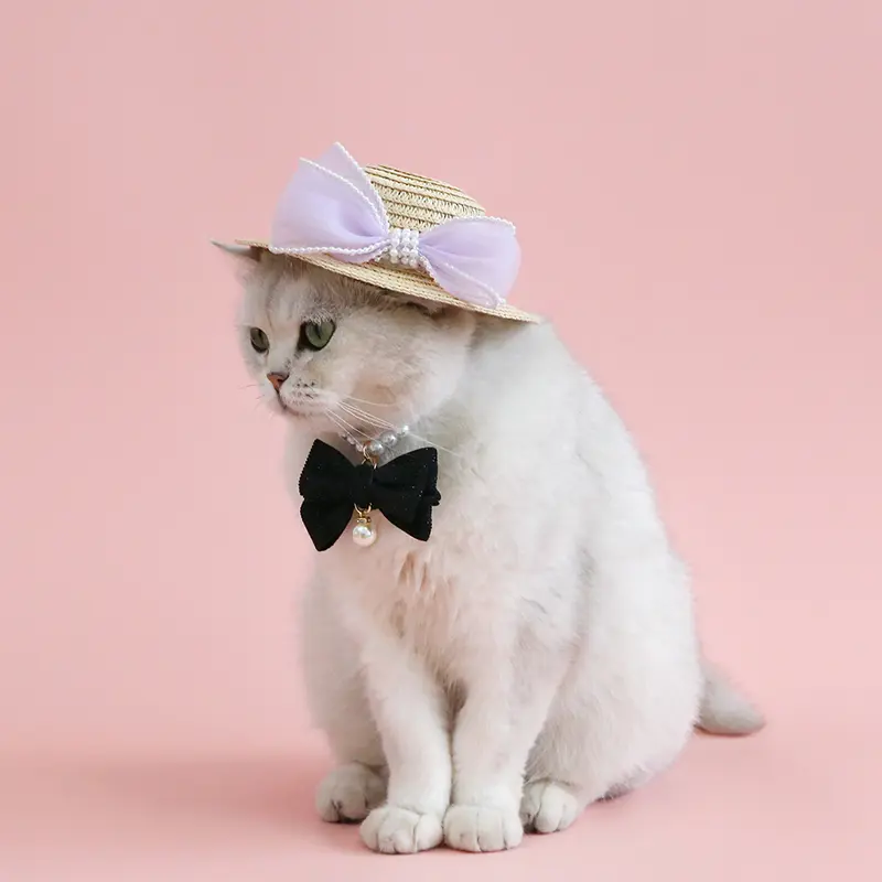 Pet Cat Lady Straw Hat Pearl Bow Woven - Image 3