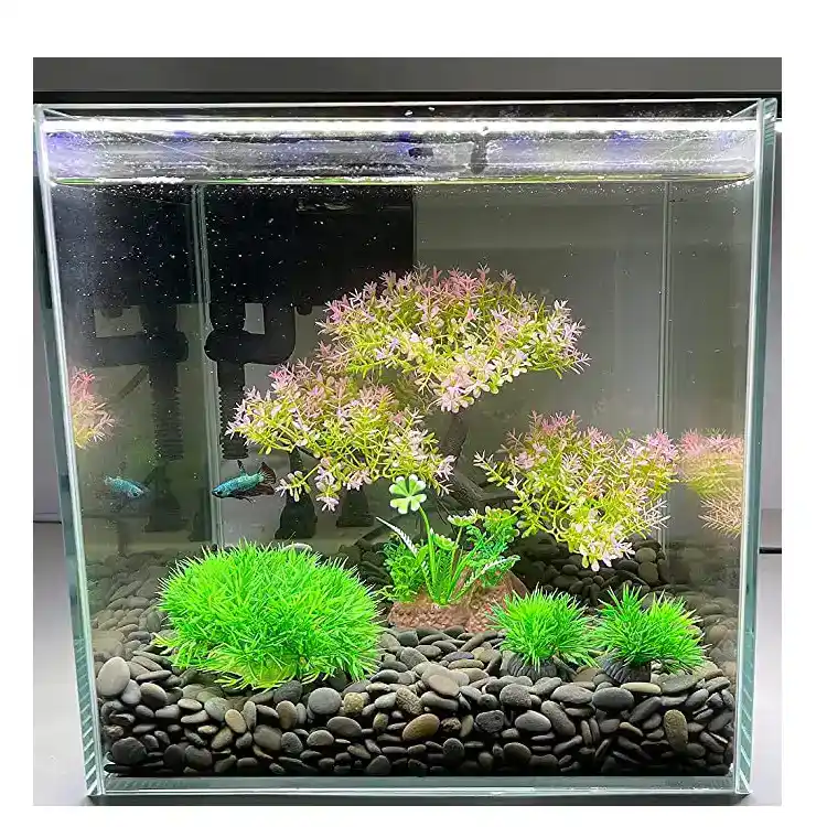 Aquarium decoration water plant